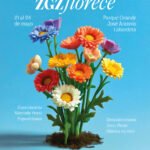 planes para zaragoza florece